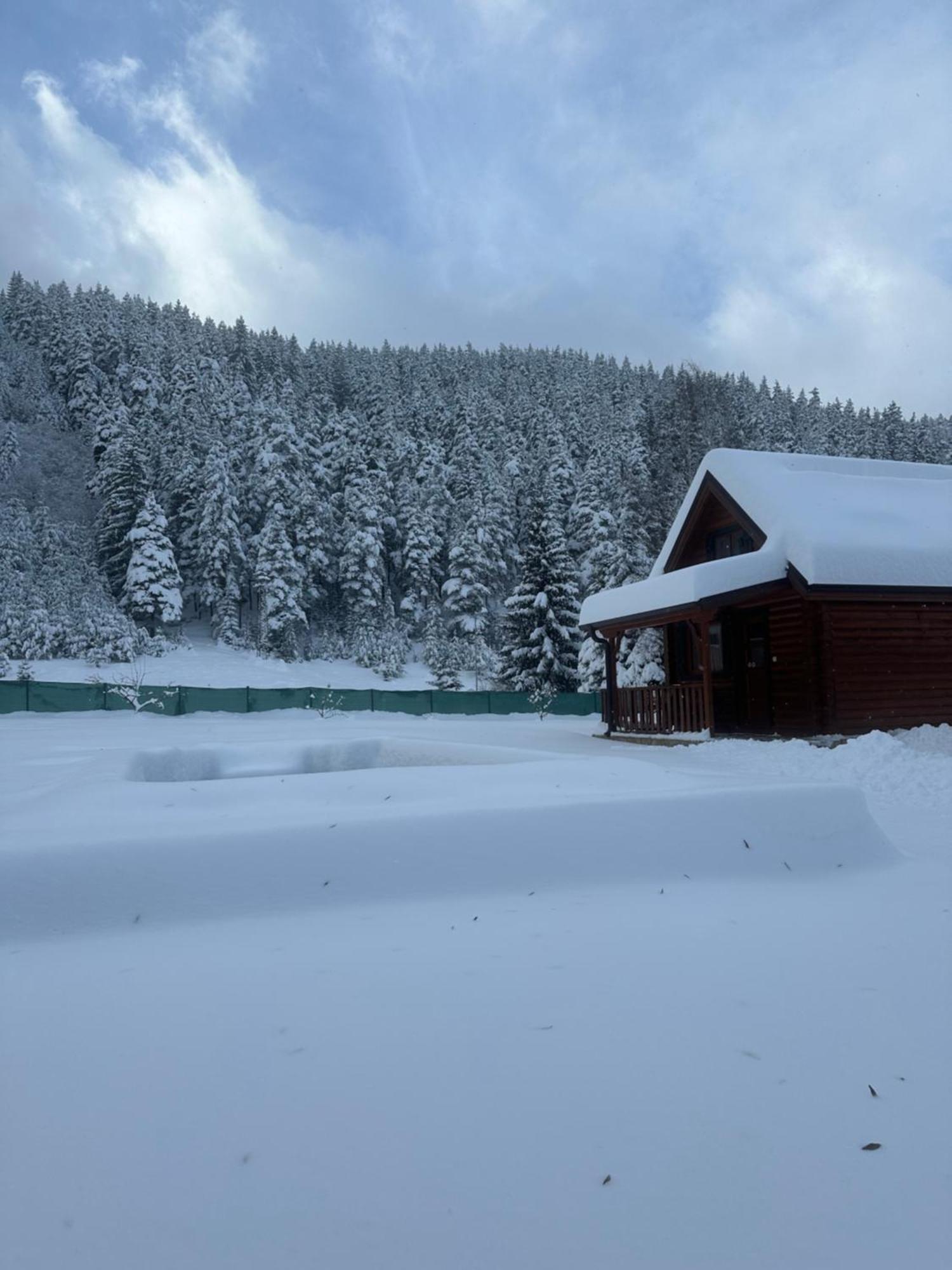Villa Paradise Beli Iskar Buitenkant foto