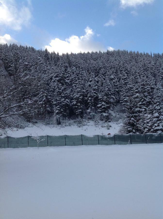 Villa Paradise Beli Iskar Buitenkant foto