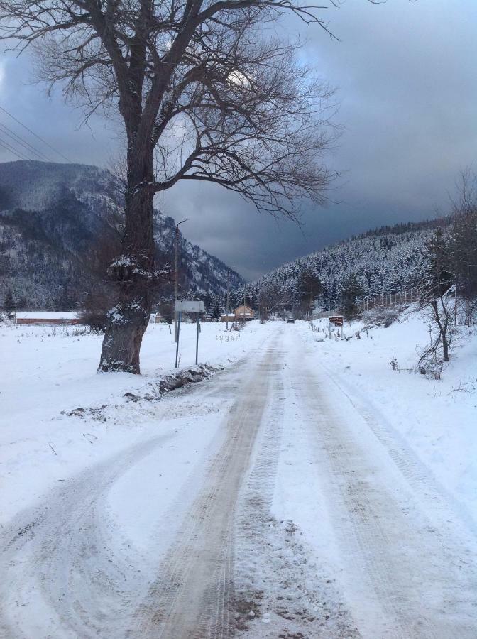 Villa Paradise Beli Iskar Buitenkant foto